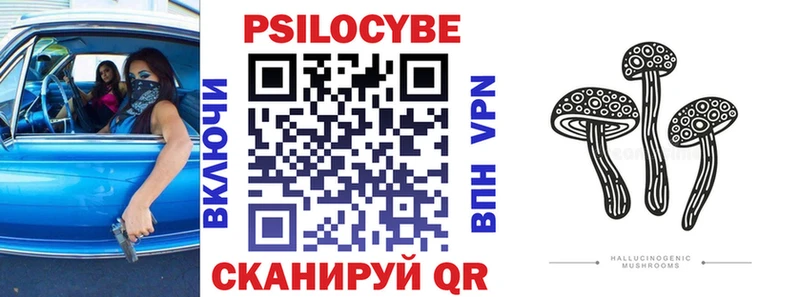 Псилоцибиновые грибы мицелий  Купить закладки  Екатеринбург 